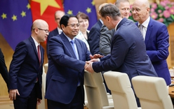 Prime Minister Pham Minh Chinh hosts European diplomats in Viet Nam