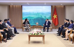 Việt Nam - Brazil: Thúc đẩy hợp tác các lĩnh vực khoa học công nghệ