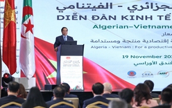 Hợp tác kinh tế Việt Nam - Algeria không có giới hạn