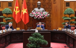 Xây dựng chính sách vượt trội để thí điểm một số khu thương mại tự do