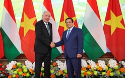 Việt Nam luôn là đối tác quan trọng hàng đầu của Hungary trong ASEAN