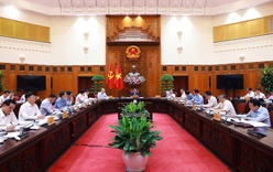 Chuẩn bị tốt đàm phán với Hoa Kỳ về thuế đối ứng