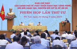 Trong quý IV năm 2025 các bộ, ngành, địa phương phải hoàn thiện cơ sở dữ liệu