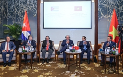 Việt Nam - Cuba: Hiện thực hoá tiềm năng thành dự án kinh tế cụ thể