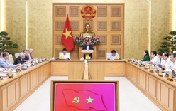 Phản ứng chính sách chủ động, linh hoạt, kịp thời và hiệu quả