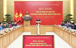 Đảng ủy Chính phủ tập trung thực hiện mục tiêu, tầm nhìn chiến lược
