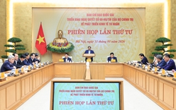 Kinh tế tư nhân là một động lực quan trọng nhất của nền kinh tế quốc gia