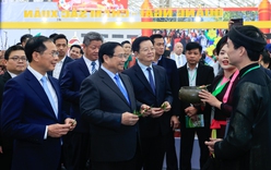 Hiện thực hóa khát vọng đưa Việt Nam trở thành trung tâm hội chợ, triển lãm của khu vực và quốc tế