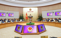 Tập trung triển khai ngay các nhiệm vụ trọng tâm sau Tết