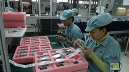  Tháo gỡ vướng mắc các thủ tục xuất nhập khẩu cho DN FDI