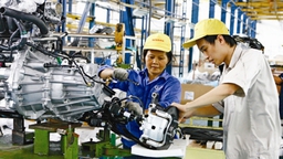 Cởi trói cho doanh nghiệp: Bắt đầu từ đâu?