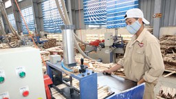 Hết thời tùy tiện hạn chế kinh doanh