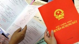 Doanh nghiệp trúng đấu giá đất, đăng ký quyền sử dụng thế nào?