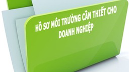 Đối tượng thực hiện đánh giá tác động môi trường