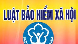 Bộ LĐTBXH trả lời về việc chậm ban hành hướng dẫn Luật BHXH