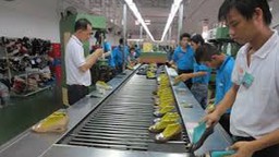 DN được trả lương theo năng suất, hiệu quả công việc