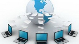 Chi nhánh công ty có được làm thủ tục thông báo website?