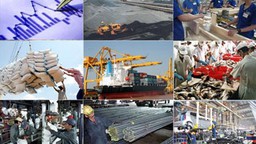 Doanh nghiệp nào phải áp dụng Luật Đấu thầu?