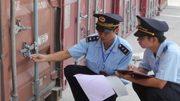 Hàng chờ giám định có được phép đưa vào sử dụng?