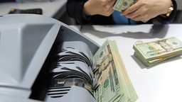 Mua lại công ty tại VN, chuyển vốn góp theo hình thức nào?