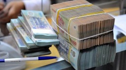 Khoản kinh phí nào bị dừng triển khai và hủy dự toán?