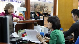 Công ty Togi Việt Nam đã được khôi phục mã số thuế 