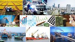Điều tra đột xuất đánh giá tác động của COVID-19 đối với doanh nghiệp