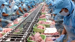 VASEP kiến nghị gỡ vướng cho DN thuỷ sản về xử lý nước thải