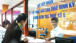 Không nộp mẫu 06/GTGT từ năm 2016, giải quyết thế nào?
