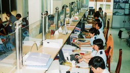 DN đề nghị gỡ vướng khi làm thủ tục xuất khẩu đá vôi trắng