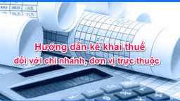 Pháp luật quy định như thế nào về khai thuế của chi nhánh?