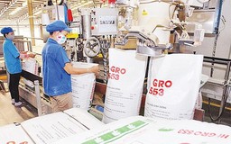 Nông sản làm thức ăn chăn nuôi áp thuế giá trị gia tăng thế nào?