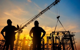 DN công khai năng lực hoạt động xây dựng theo hình thức nào?