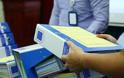 Công ty con có được tham gia gói thầu của công ty mẹ?