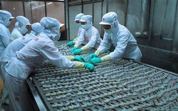 Xuất khẩu thủy sản đạt trên 3 tỷ USD
