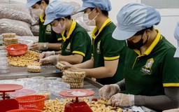 Cách xác định sản phẩm ‘chỉ qua sơ chế thông thường’ để tính thuế GTGT