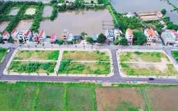Trúng đấu giá đất thi hành án, hồ sơ đăng ký gồm những gì?