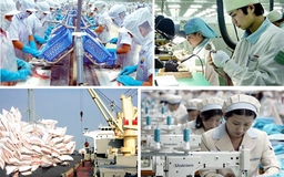 DN châu Âu đánh giá tích cực môi trường kinh doanh tại Việt Nam