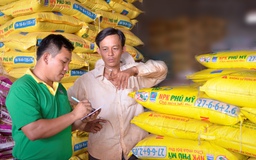 Cung ứng 360.000 tấn phân bón Phú Mỹ cho vụ Đông Xuân/mùa khô 2017