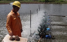 Triển khai giải pháp ngăn ngừa tai nạn điện