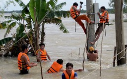Khẩn trương khôi phục lưới điện vùng lũ
