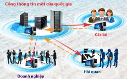 Hơn 200.000 hồ sơ được giải quyết qua Cơ chế một cửa quốc gia