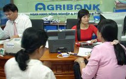 Ngân hàng tốt nhất trong đầu tư phát triển nông nghiệp, nông thôn 