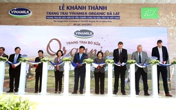 Khánh thành trang trại bò sữa organic tiêu chuẩn châu Âu