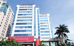 Agribank, áp lực và cuộc chuyển mình cùng Fintech