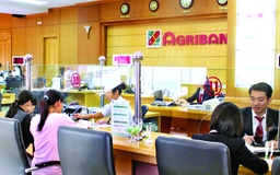 Agribank: Cải cách hành chính hướng đến khách hàng là trung tâm