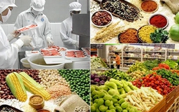 95% thực phẩm nhập khẩu sẽ không phải kiểm tra chuyên ngành