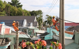 EVN SPC: Thực hiện nhiều giải pháp bảo đảm an toàn lao động