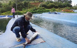 Kon Tum: Khuyến khích DN đầu tư vào ‘tam nông’