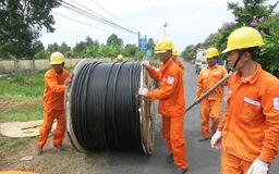 EVN SPC củng cố lưới điện trước mùa mưa bão